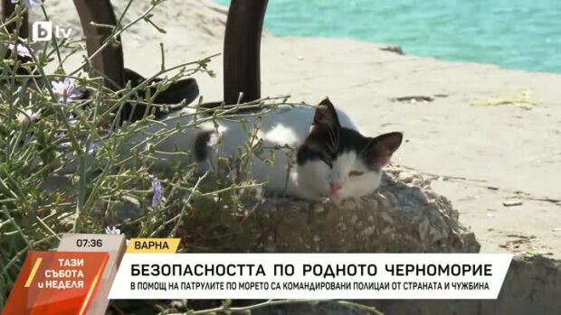 Снимка: Ръст при кражбите на плажа