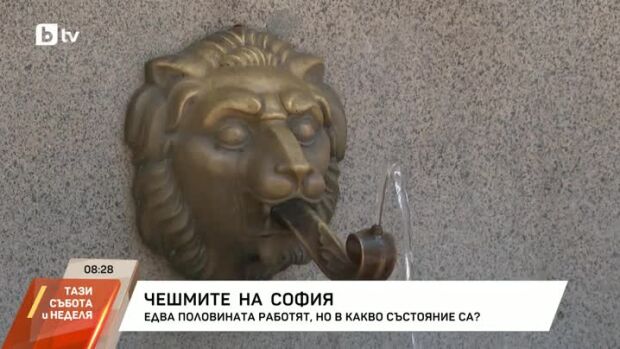 Снимка: В какво състояние са чешмите на София?