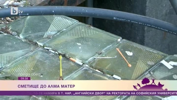 Снимка: Сметище до Алма Матер