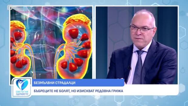 Снимка: Бъбречно здраве - бъбреците не болят, но изискват редовна грижа