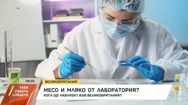 Снимка: Месо и мляко от лаборатория?