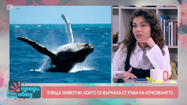 Снимка: Говорим за... животни, които се върнаха от ръба на изчезването