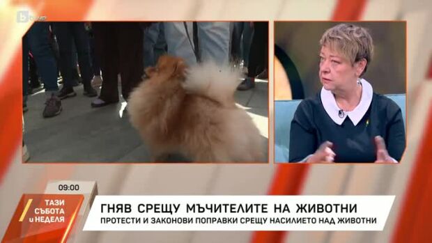 Снимка: Гняв срещу мъчителите на животни