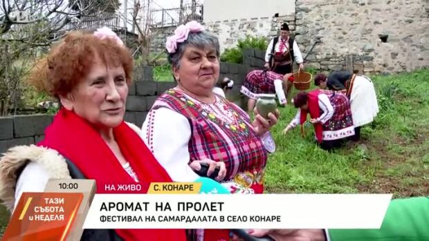 Снимка: Фестивал на самардалата в село Конаре