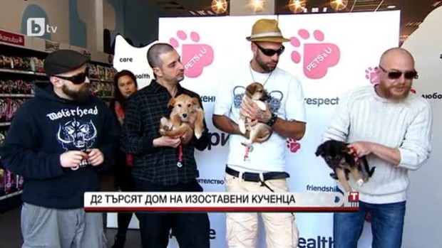 Снимка: Д2 търсят дом на изоставени кученца