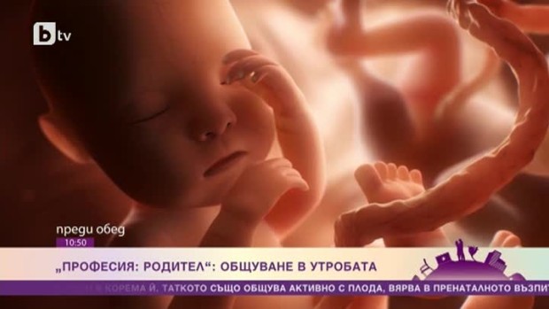 Снимка: Професия родител: Общуване в утробата