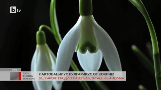 Снимка: Български продукт - любим на Опра Уинфри