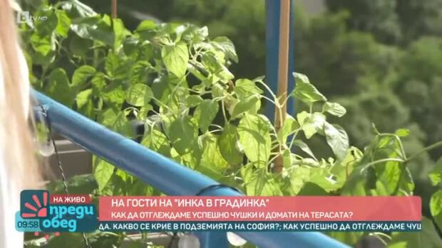 Снимка: На гости на "Инка в градинка"