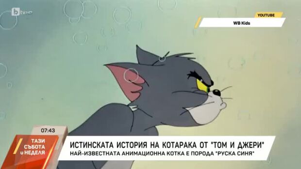 Снимка: Истинската история на котарака от "Том и Джери"
