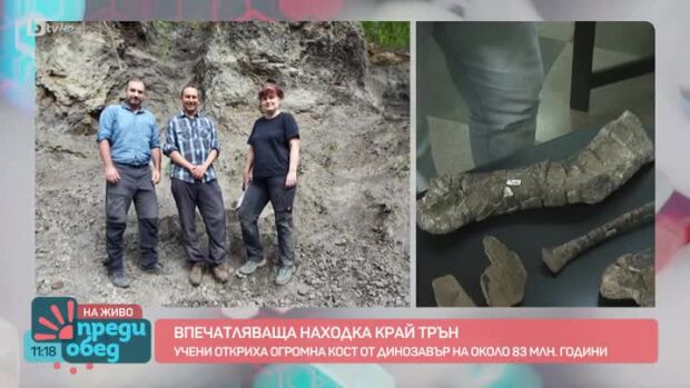 Снимка: Какъв е бил животът по нашите земи преди 80 млн. години?