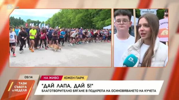 Снимка: Благотворително бягане в подкрепа на осиновяването на кучета