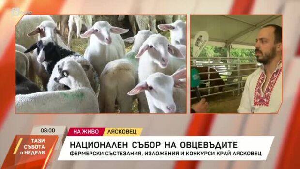 Снимка: Национален събор на овцевъдите