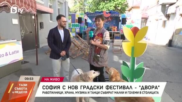 Снимка: София - с нов градски фестивал "Двора"