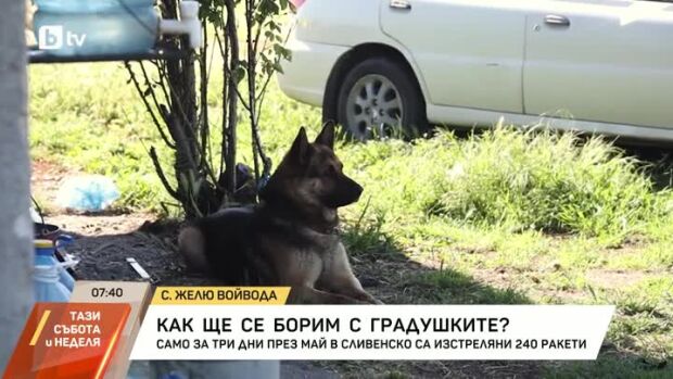 Снимка: Как ще се борим с градушките?