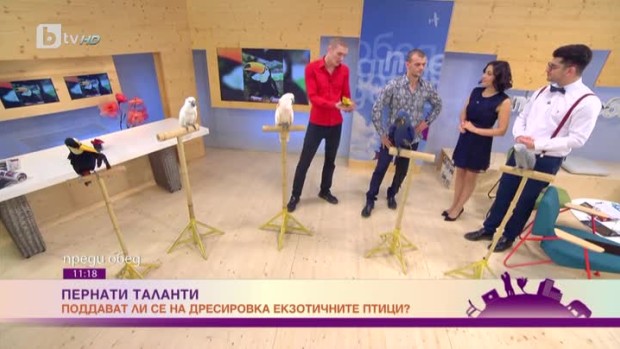 Снимка: Поддават ли се на дресировка екзотичните птици?