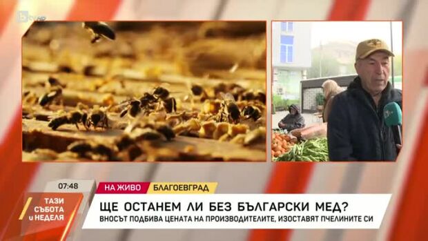 Снимка: Ще останем ли без български мед?
