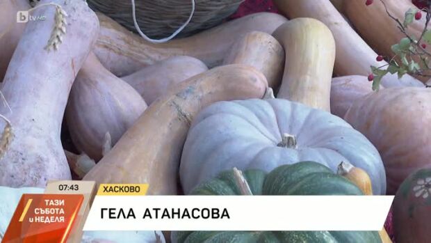 Снимка: Празник на тиквата