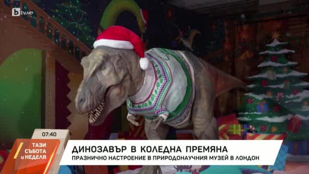 Снимка: Динозавър в коледна премяна