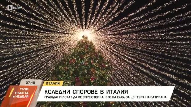 Снимка: Протест срещу отсичане на 200-годишна елха