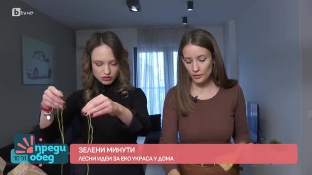 Снимка: Зелени минути: Лесни идеи за еко украса у дома