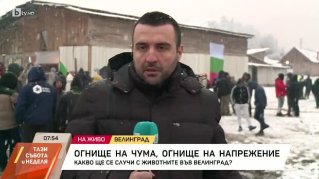 Снимка: Огнище на чума, огнище на напрежение