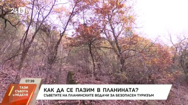 Снимка: Как да се пазим в планината?