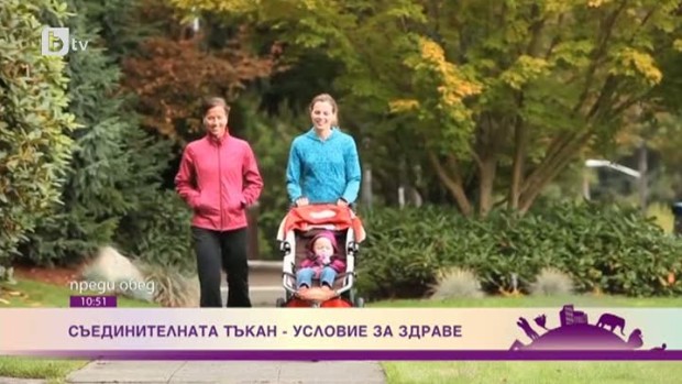 Снимка: Съединителната тъкан - условие за здраве