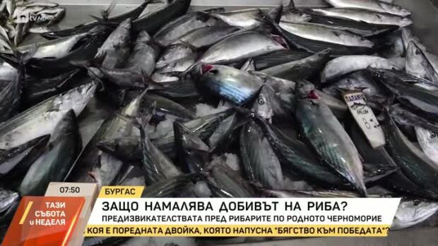 Снимка: По-слаб риболов и по-малко риба