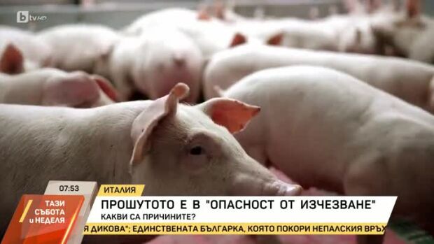 Снимка: Ще оцелее ли прошутото?