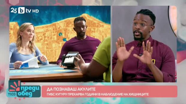 Снимка: Да познаваш акулите