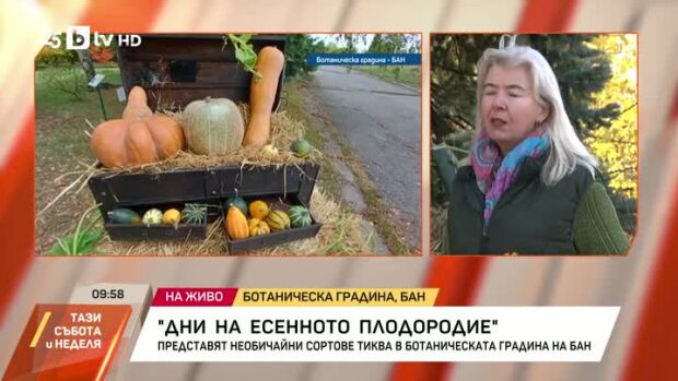Снимка: Дни на есенното плодородие