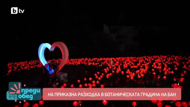 Снимка: На приказна разходка в Ботаническата градина на БАН