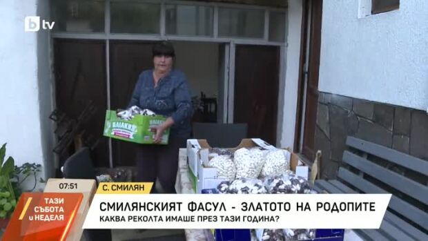 Снимка: Смилянският фасул - златото на Родопите