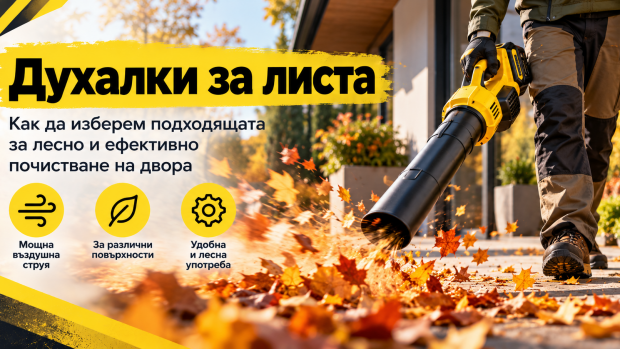 Снимка: Как да почистите двора от листа без гребло – духалки, листосъбирачи и правилна техника