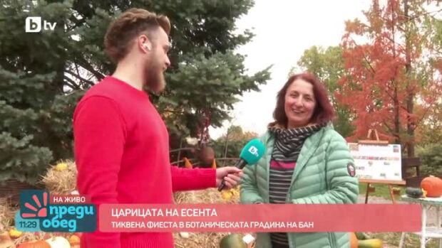 Снимка: Царицата на есента - тиквата