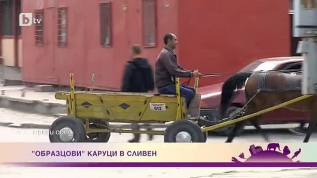 Снимка: "Образцови" каруци в Сливен