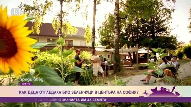 Снимка: Как в детска градина в София се появиха лехи с био зеленчуци?