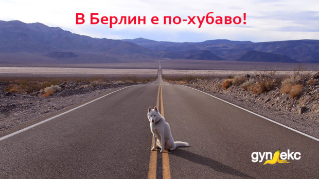 Снимка: Вълчицата е емигрирала в Германия, няма да се връща у нас