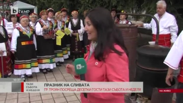 Снимка: Празникк на сливата