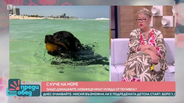 Снимка: С куче на море или не?