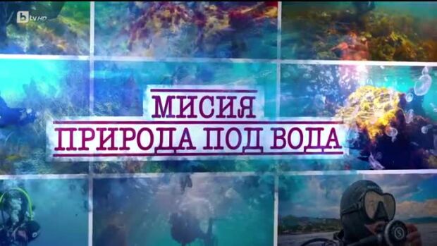 Снимка: bTV Репортерите: Мисия "Природа под вода"