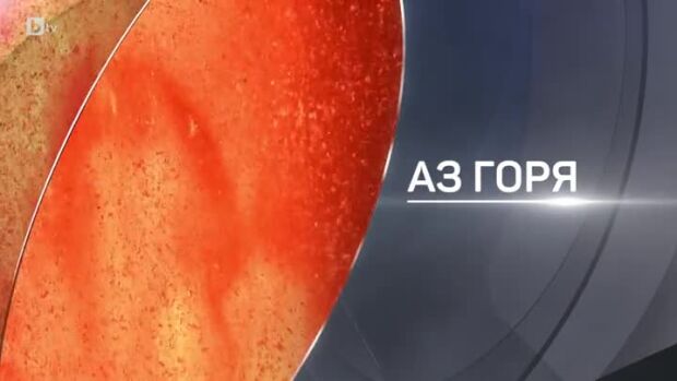 Снимка: bTV разказва: Аз горя