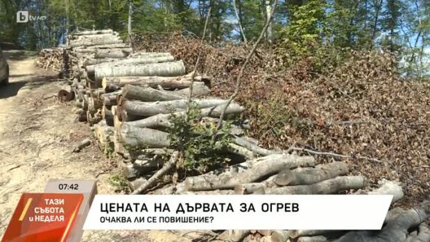 Снимка: Все по-малко домакинства у нас се отопляват на дърва