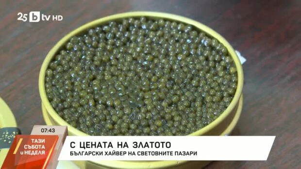 Снимка: България се оказва един от най-големите производители на луксозния черен хайвер