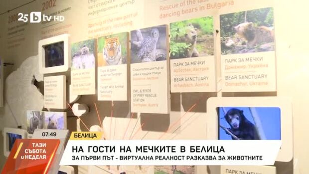 Снимка: На гости на мечките в Белица