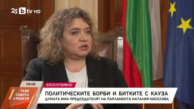 Снимка: Политически борби и битките с кауза