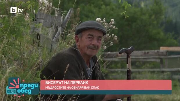 Снимка: „София не е България“: Мъдрост от родопския овчар от село Стикъл Бай Спас