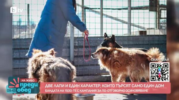 Снимка: Бандата на 1500-те с кампания за по-отговорно осиновяване на животни