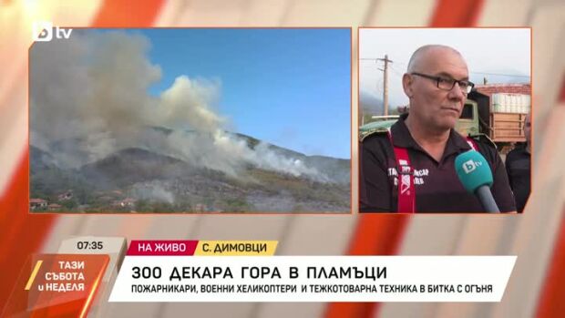 Снимка: Пожарът край Димовци се разраства