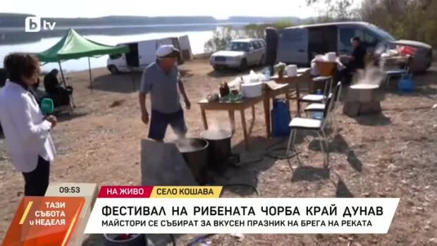 Снимка: Фестивал на рибената чорба на брега на Дунав